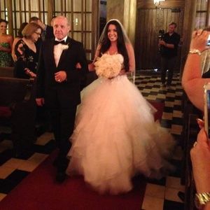 Wedding Dress and Veil with Crystals